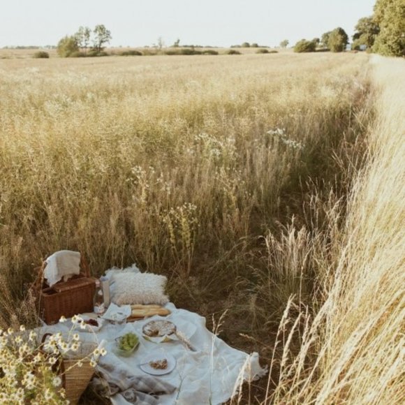 About Blush & Suede Boutique - Picture 2 of 8